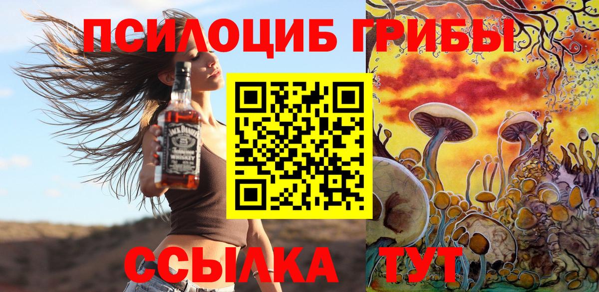Псилоцибиновые грибы MAGIC MUSHROOMS  Вход с VPN  Галлюциногенные грибы GOLDEN TEACHER  Амурск 